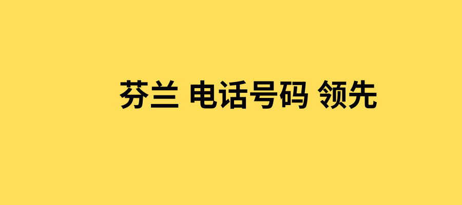 芬兰电话号码带领