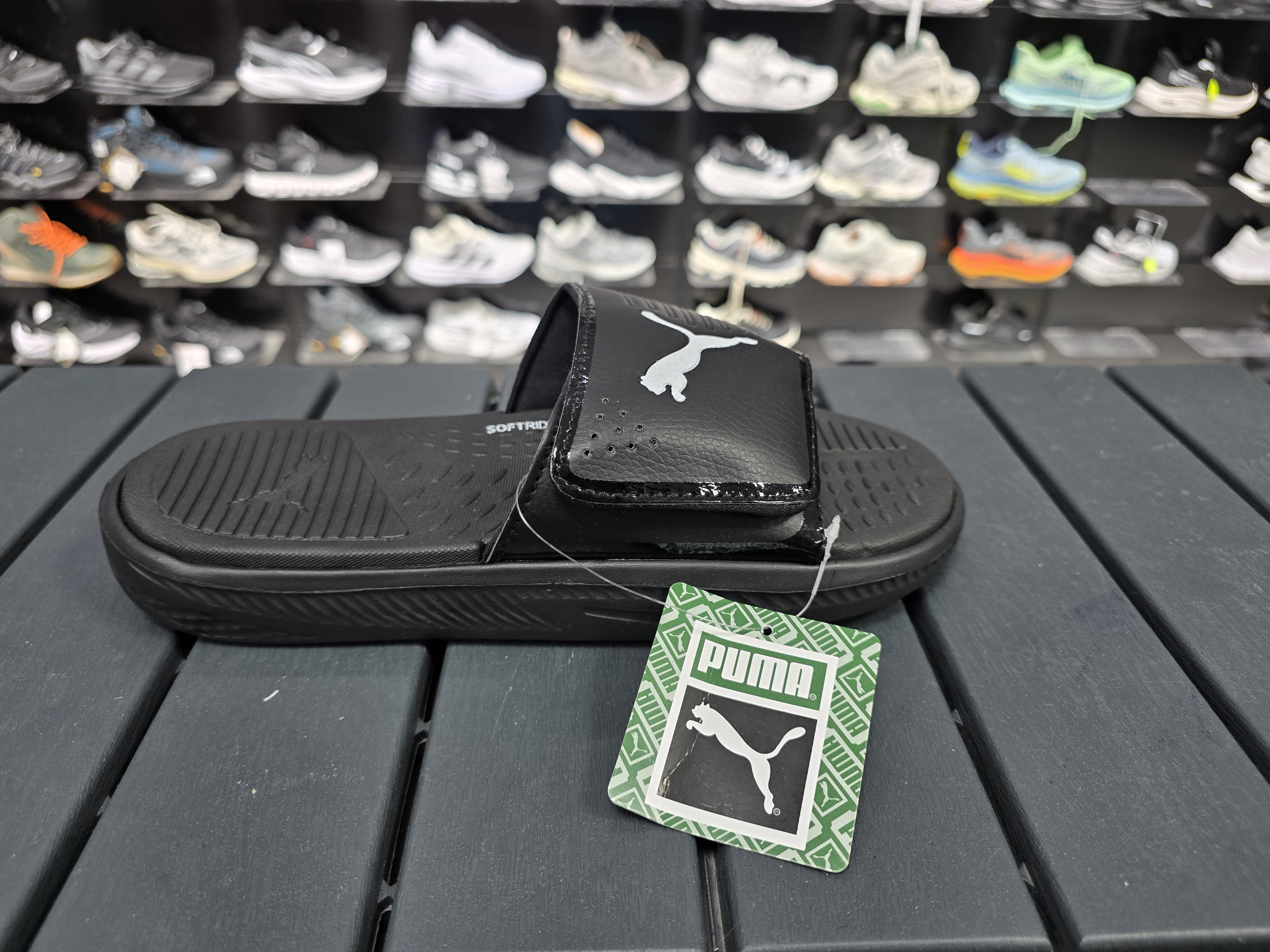 Puma cirtli erkek terligi tam kalip