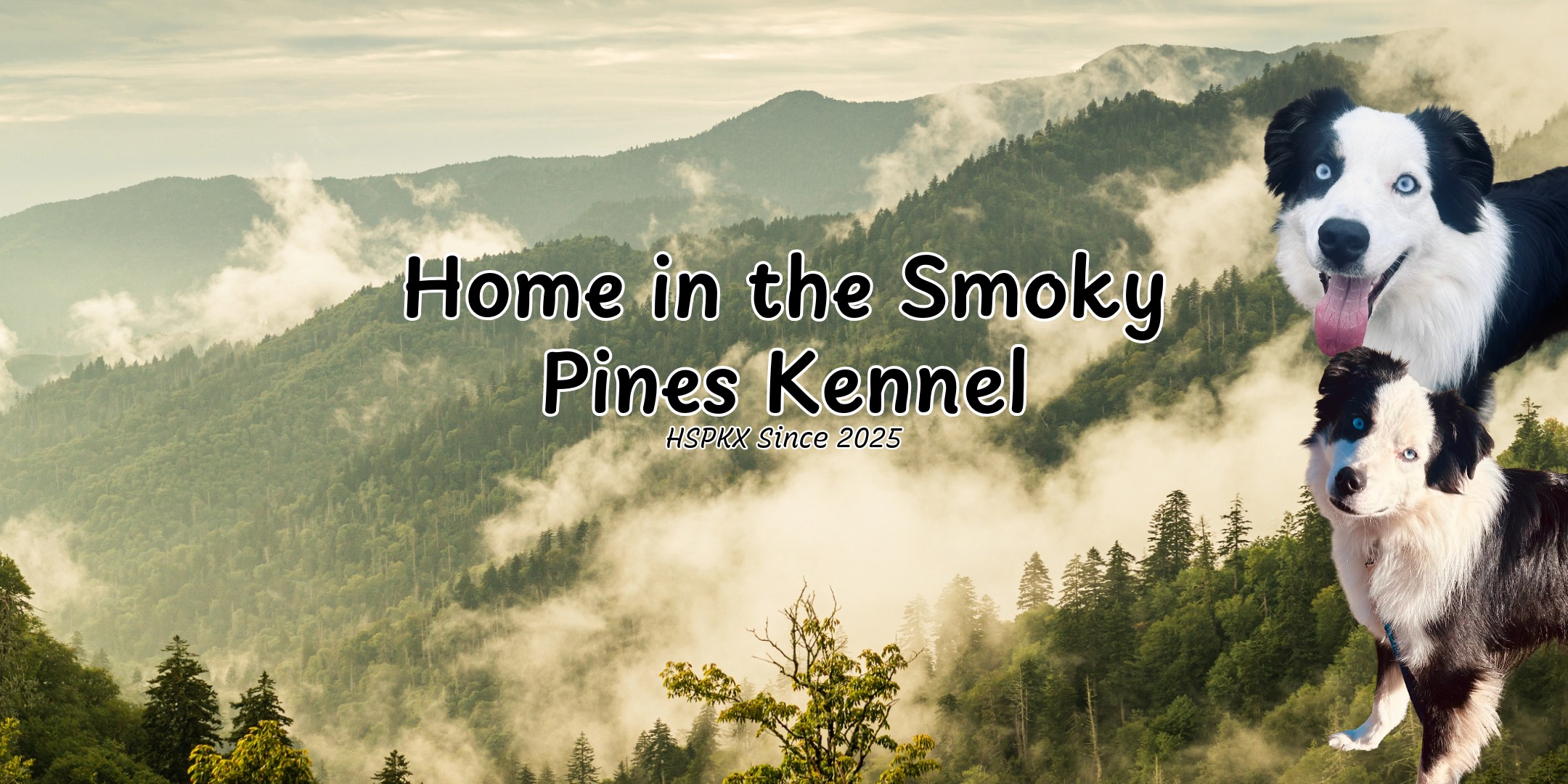 Home in the Smoky Pines Banner