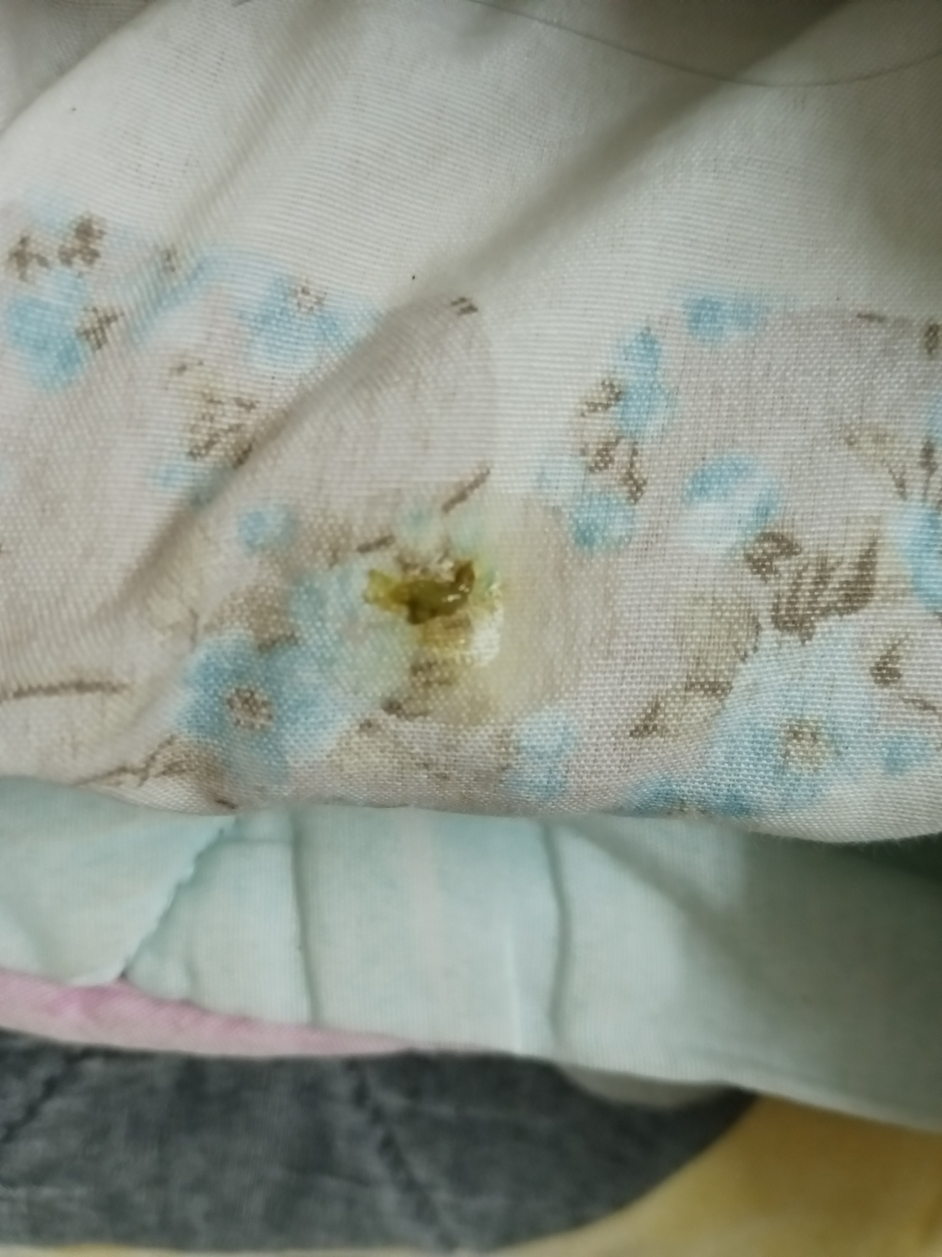 imageupload.app