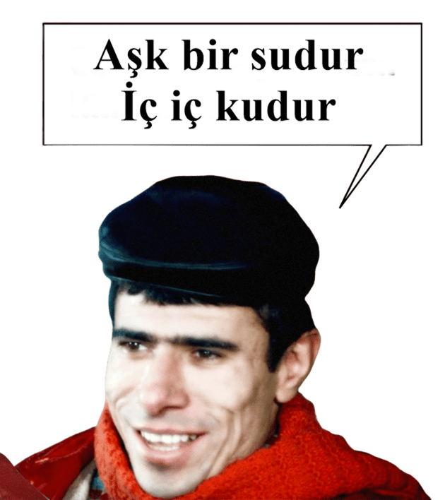 553b37719fd7eff9852b.png