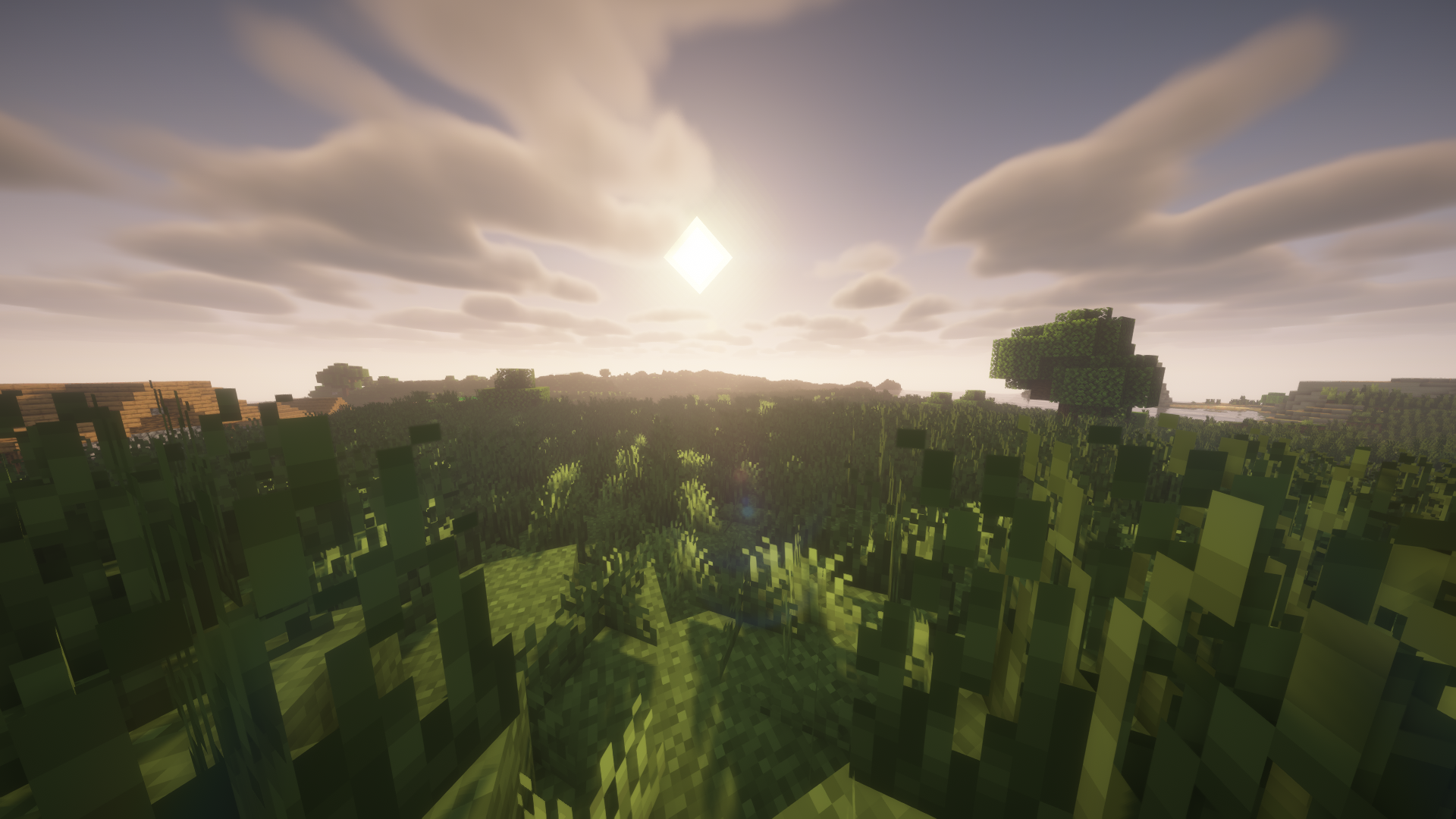 more grass ez 