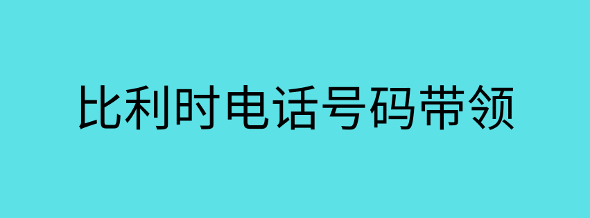 比利时电话号码带领