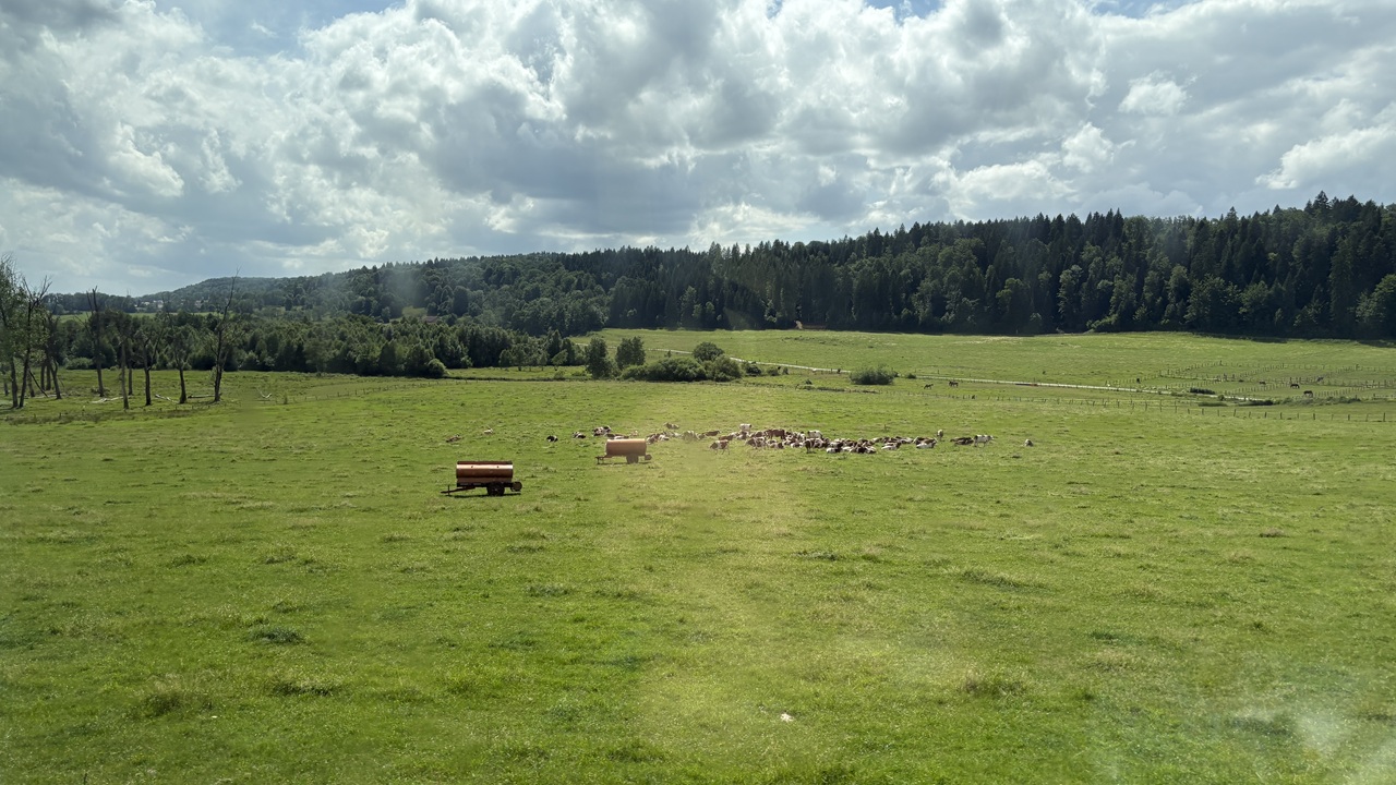 acec906a2908e6b160cf.jpeg