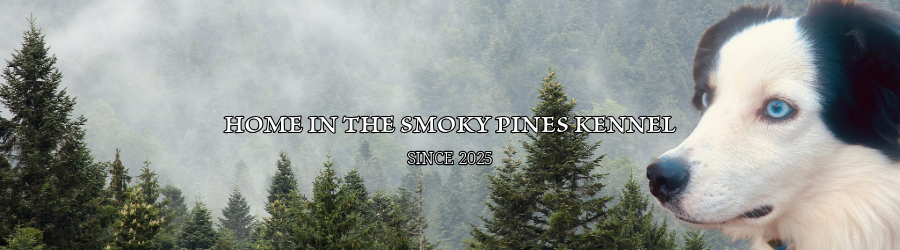 Home in the Smoky Pines Banner