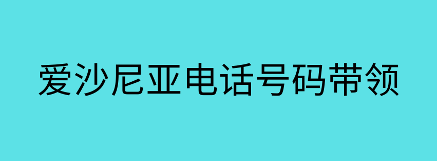 爱沙尼亚电话号码带领