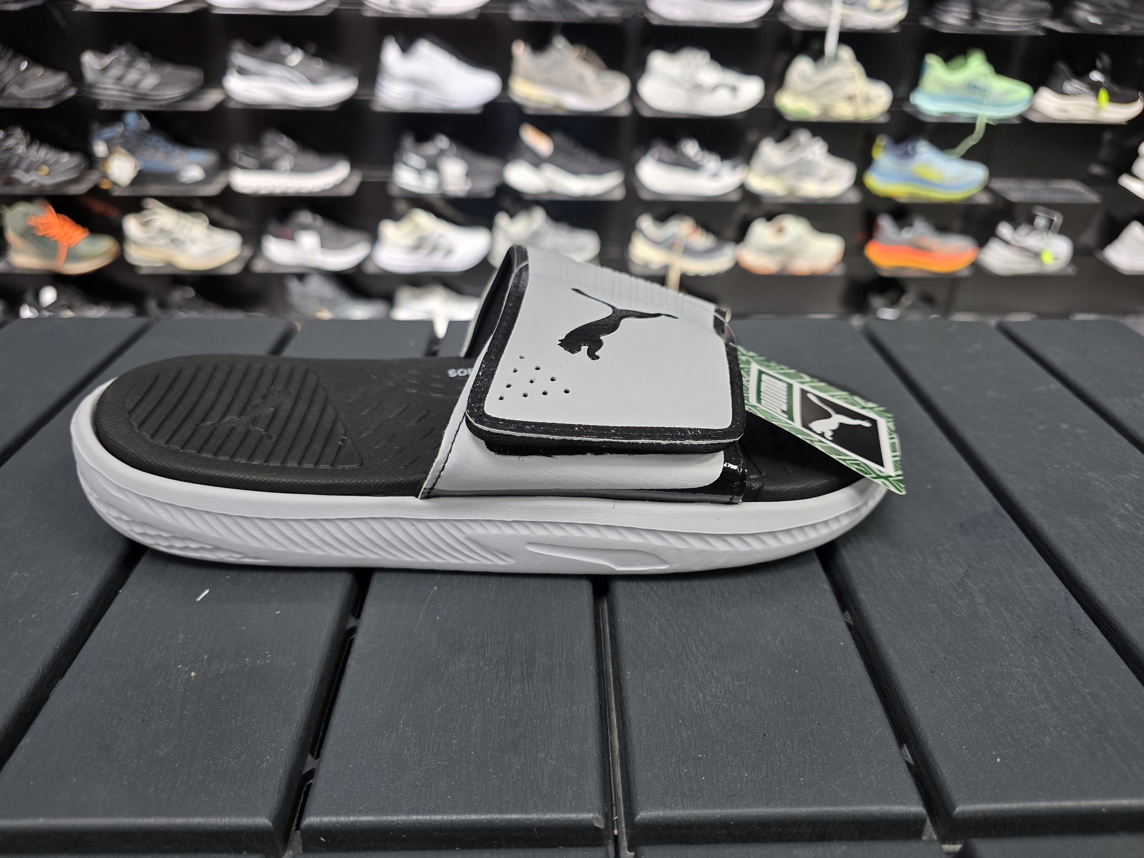 Puma cirtli erkek terligi tam kalip